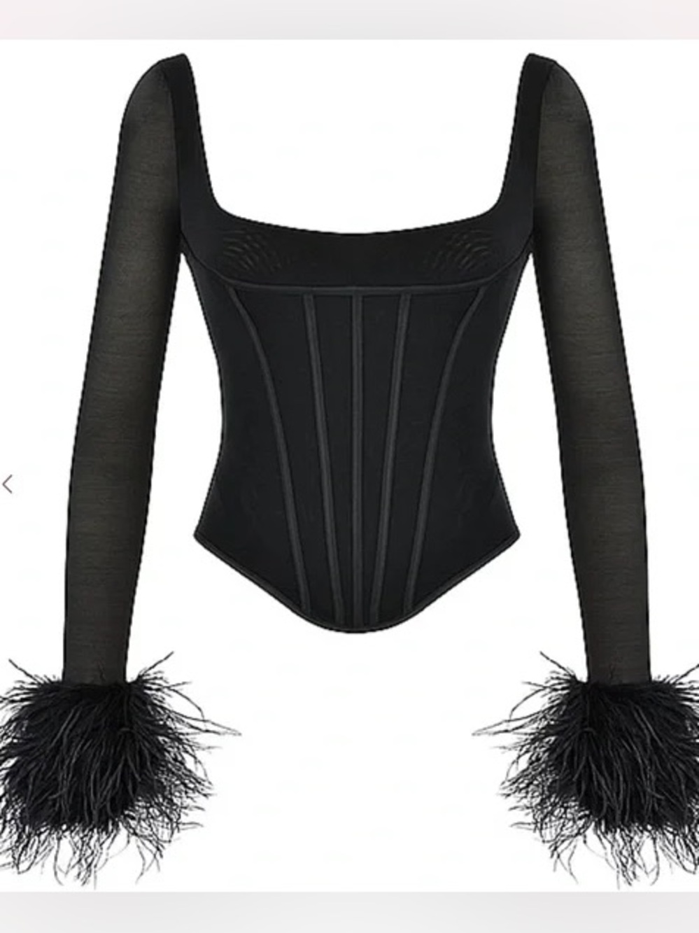 House Of CB Stella Mesh Feather Sleeves Corset Size L+ XL